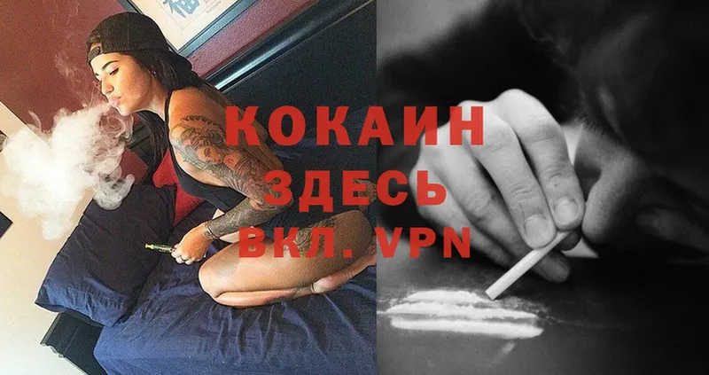 Наркота Ковылкино Cocaine  Канабис  Меф мяу мяу  Alpha-PVP  ГАШ 